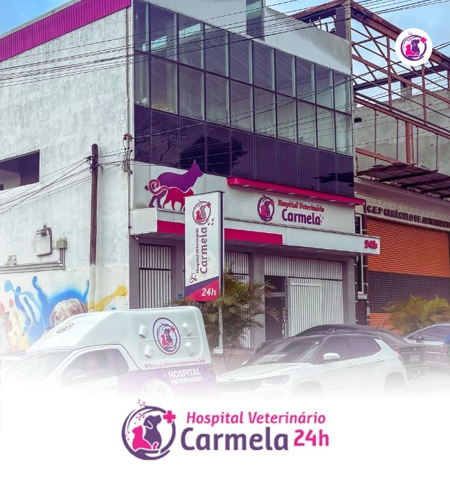 Hospital Veterinário Carmela