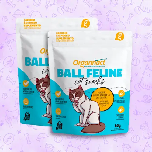 Ball Feline Cat Snacks